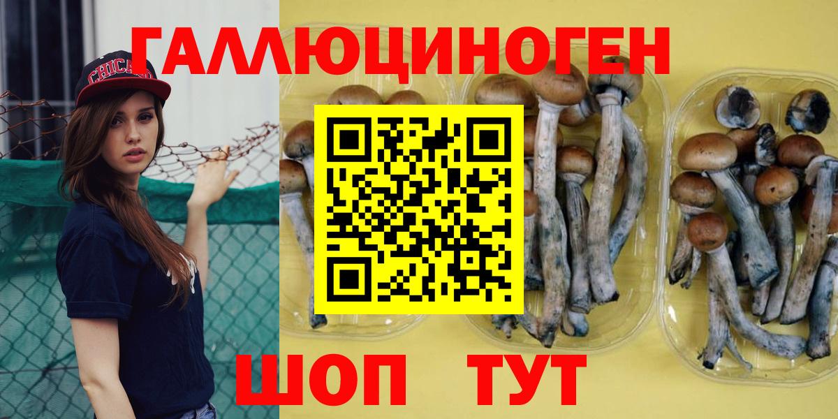 Сертолово  Псилоцибиновые грибы MAGIC MUSHROOMS  Вход с VPN  Псилоцибиновые грибы мухоморы 