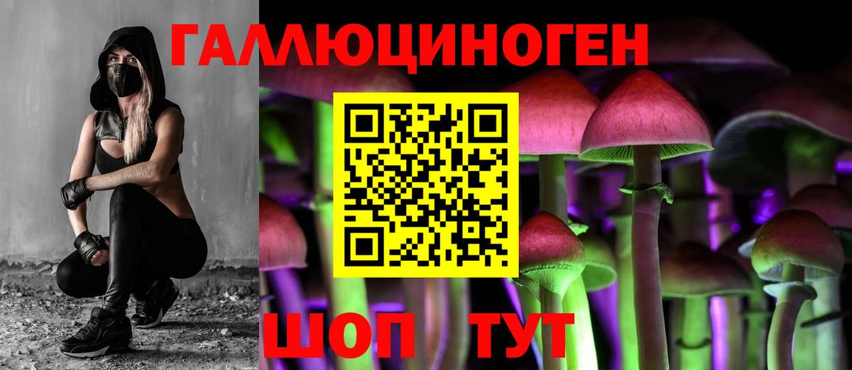 Псилоцибиновые грибы ЛСД Сертолово